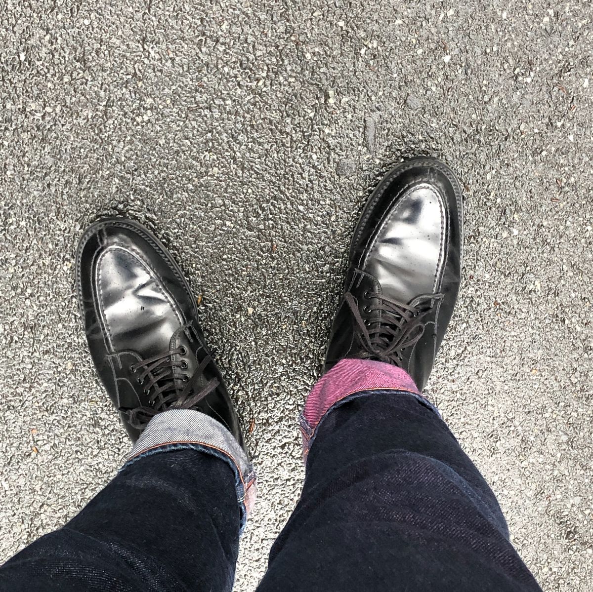今日は早め