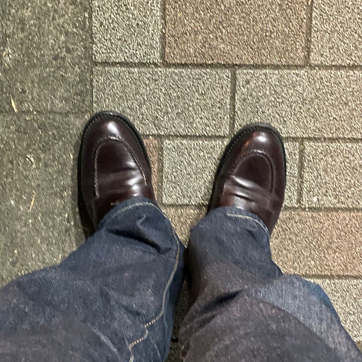 本読むか