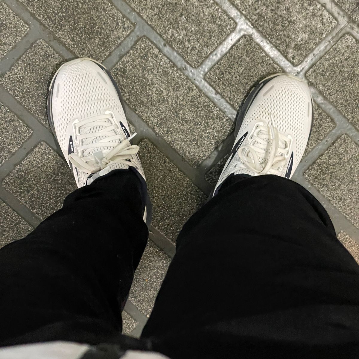走ってきた
