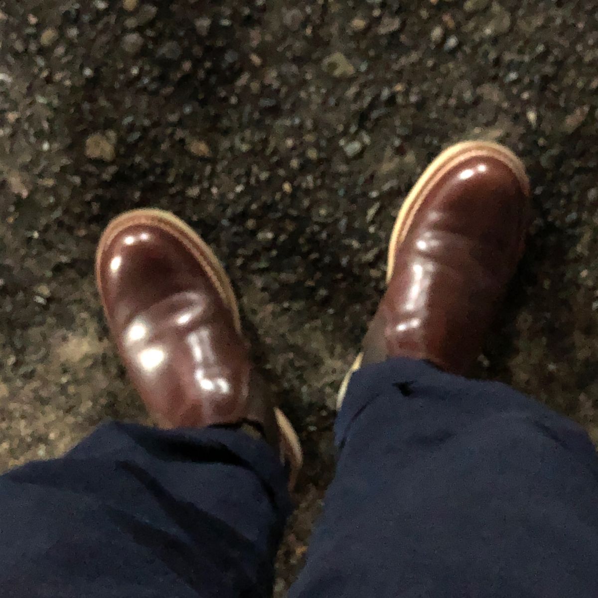 アルコールティッシュがない