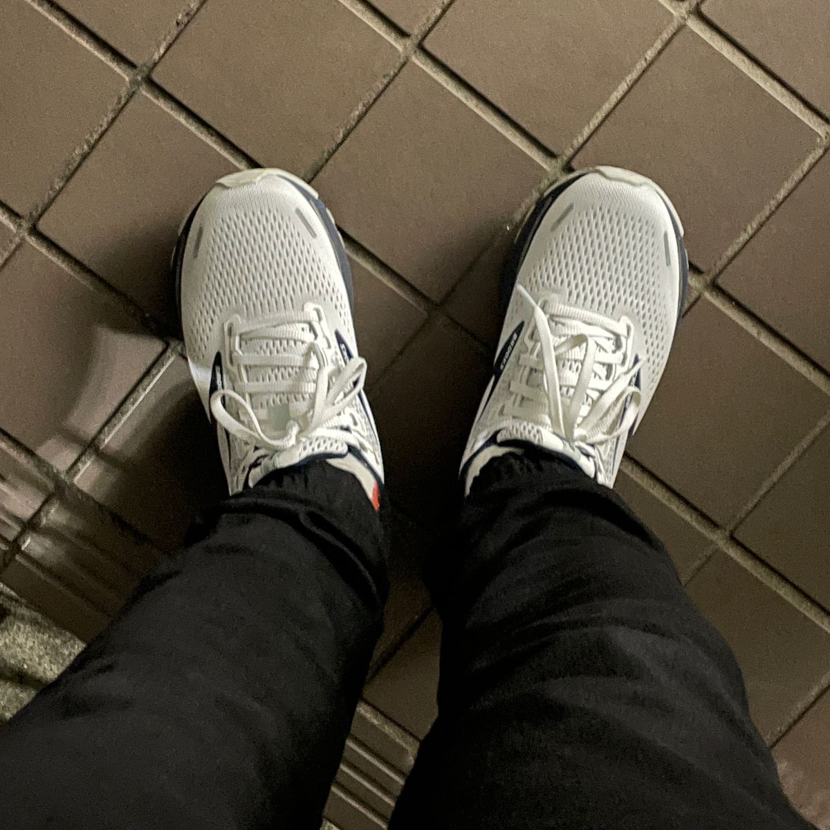 結局6km走ってしまった