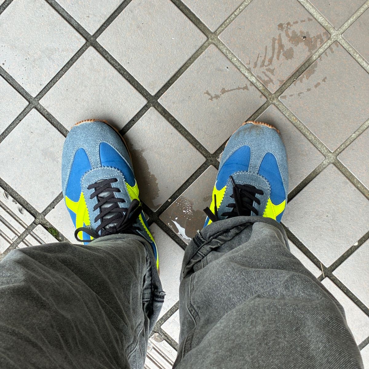 朝