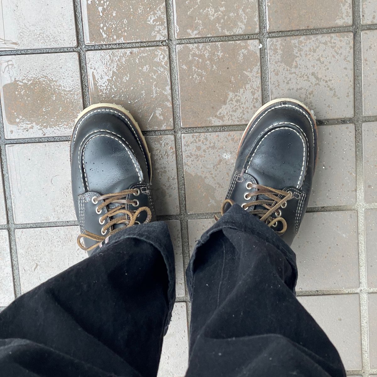 積もってるなぁ