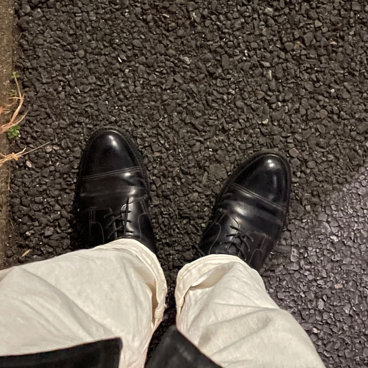 歩いた