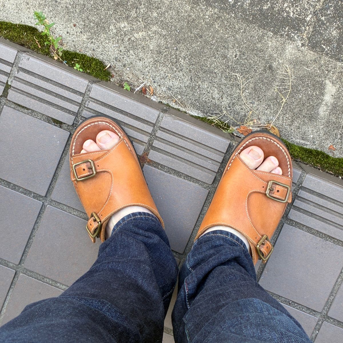 朝