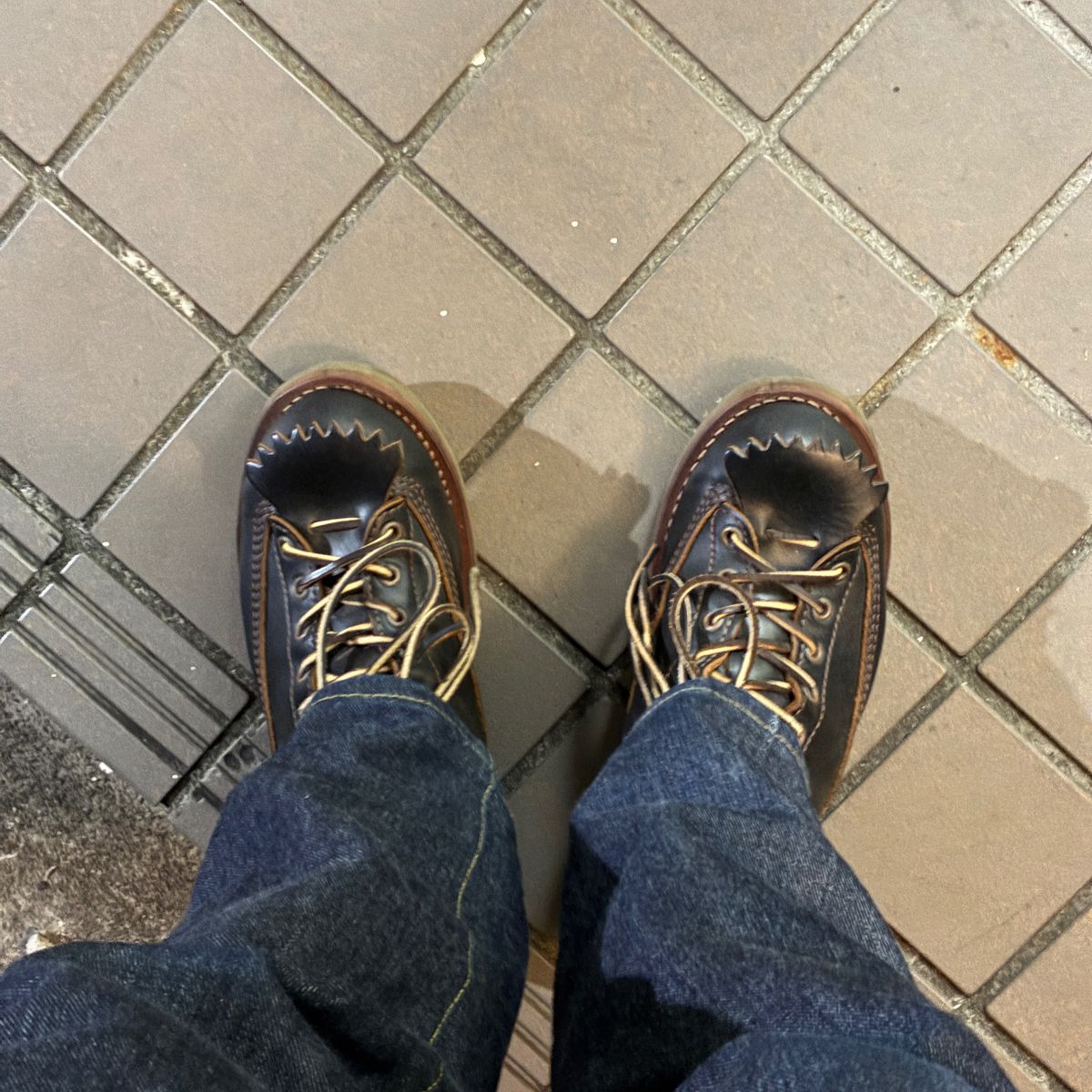 松屋行ってきた