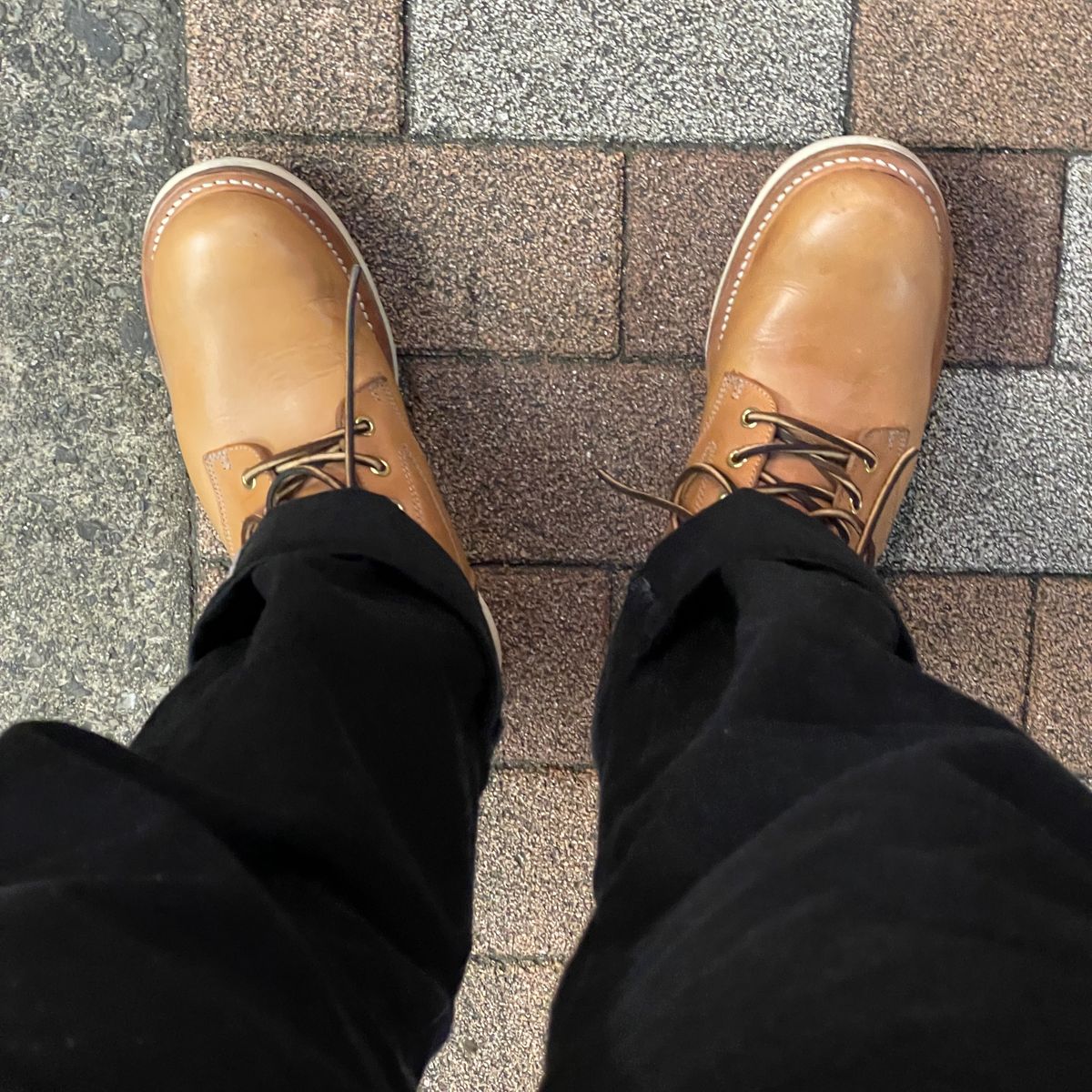 ジャケット届いた