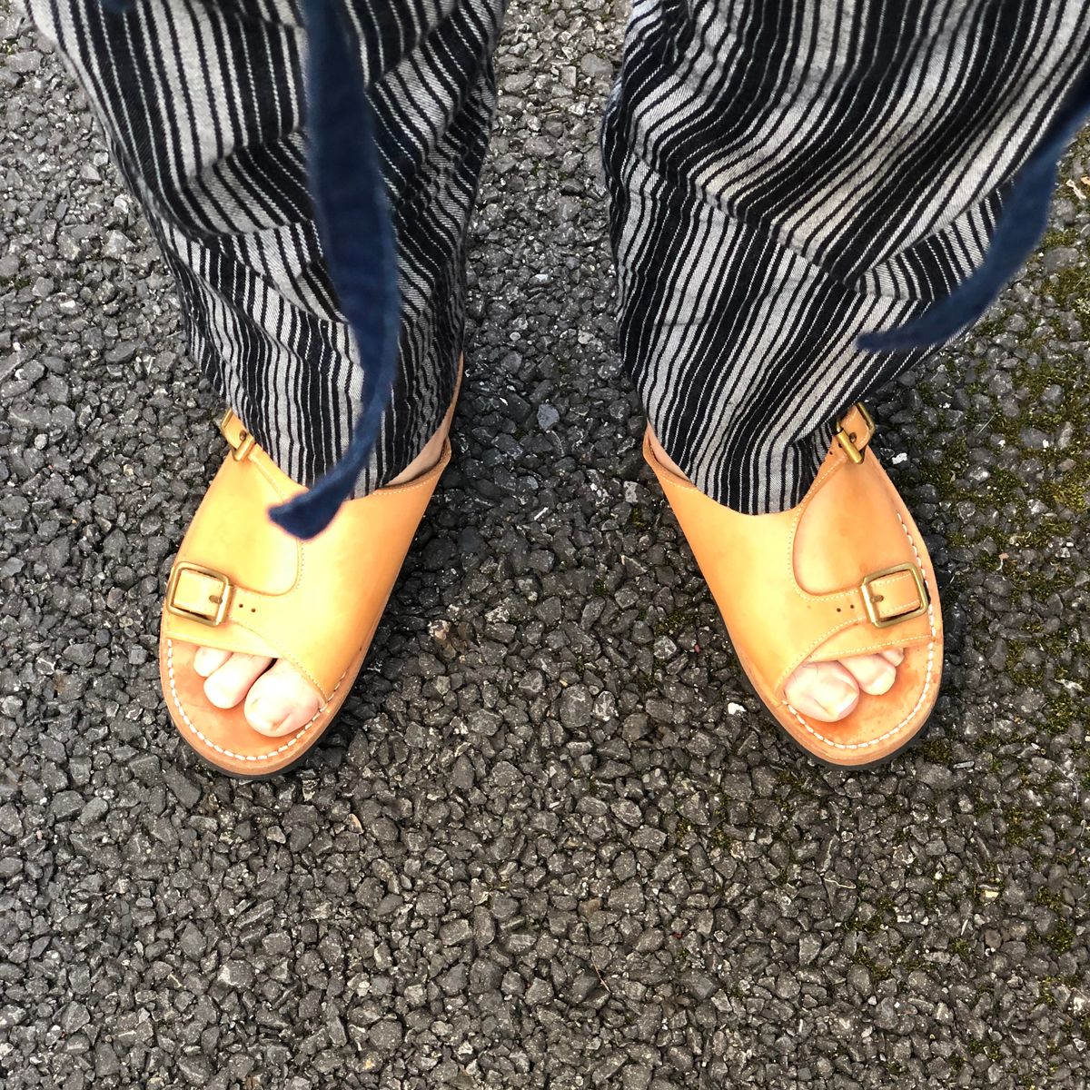 まだいける