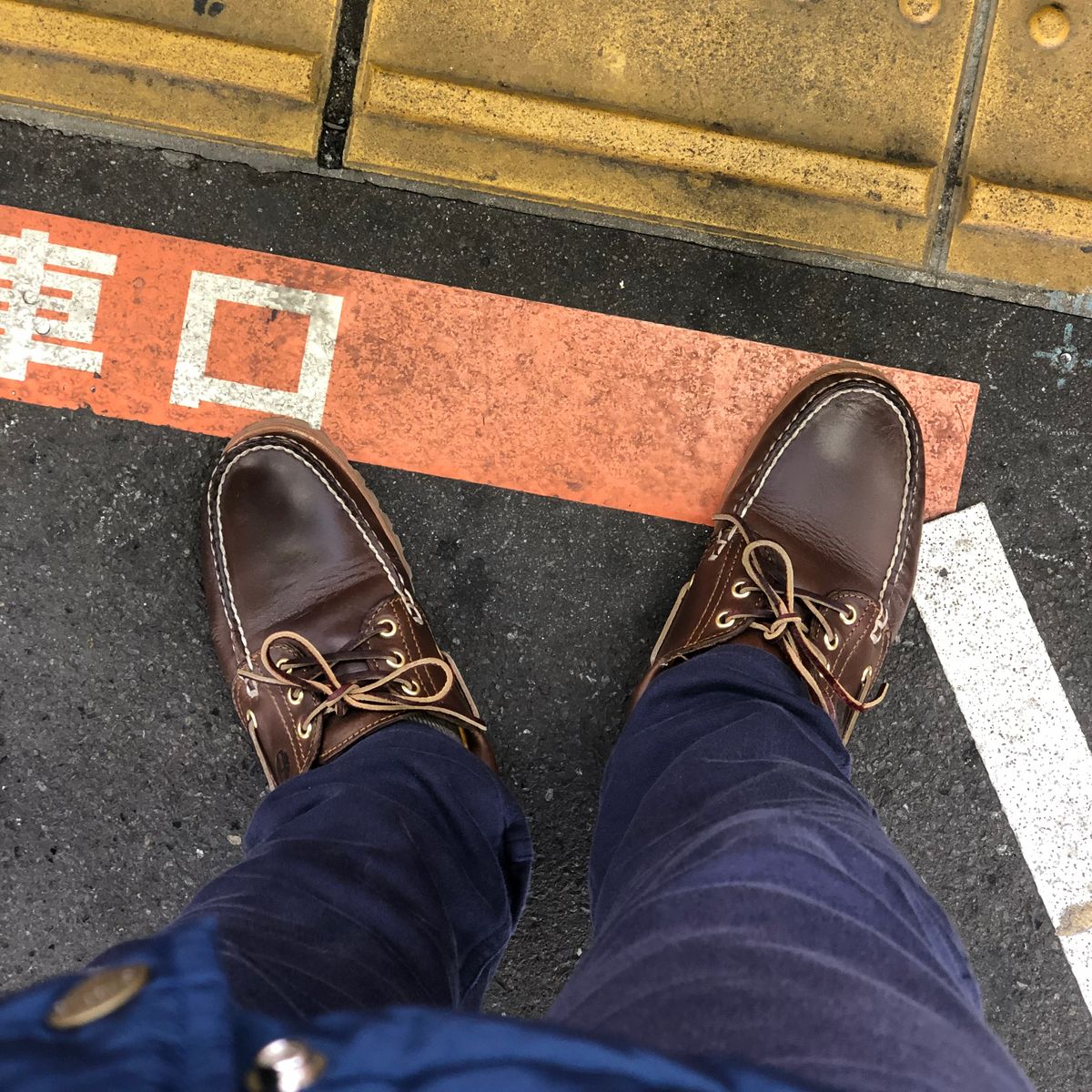 今日は割と寒い