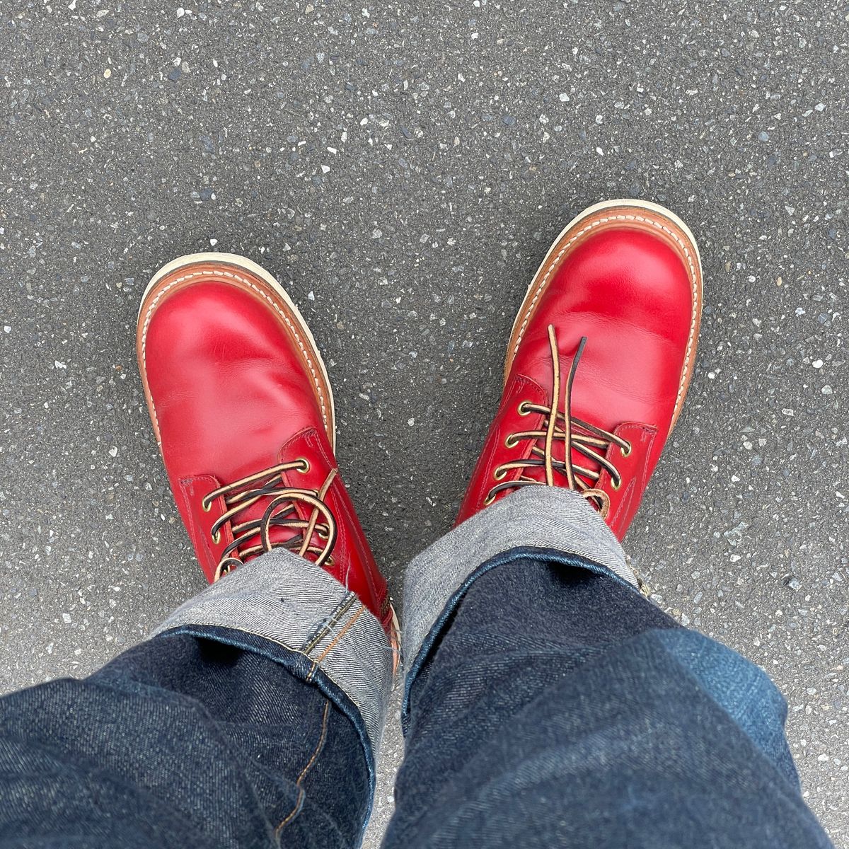 レビューしてくれてるんだろうか