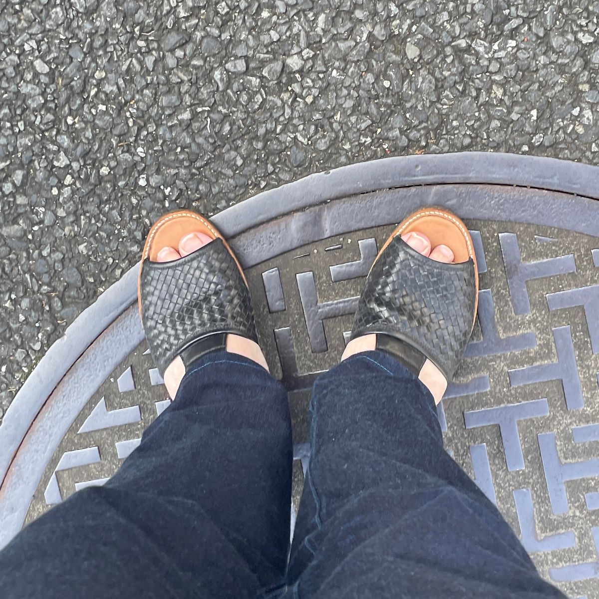 朝