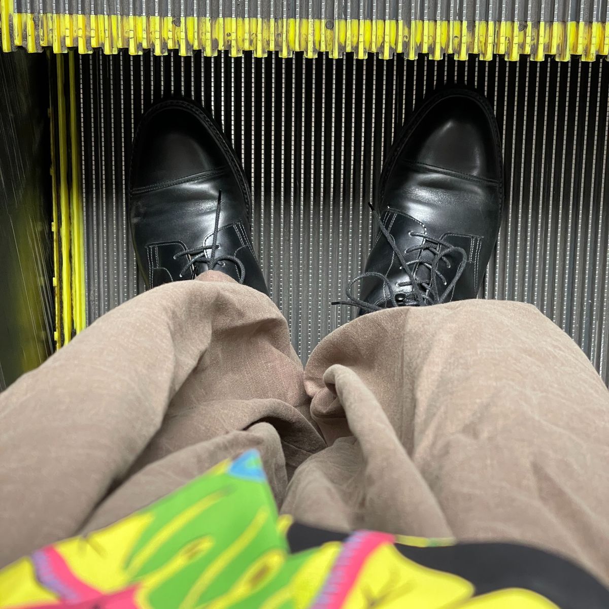 昨日は涼しかったのに