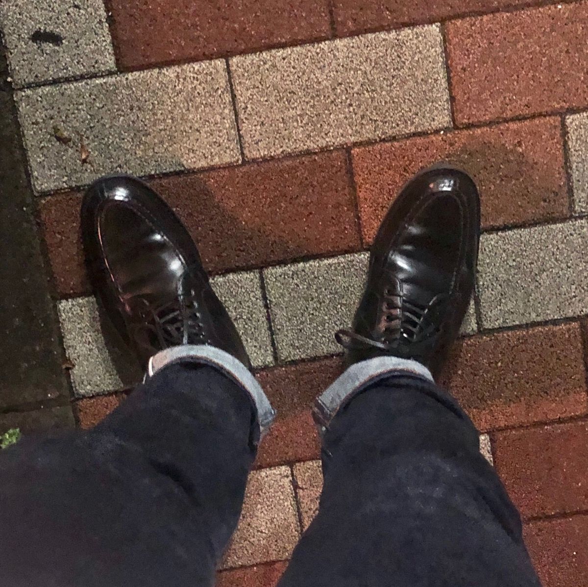 雨なので