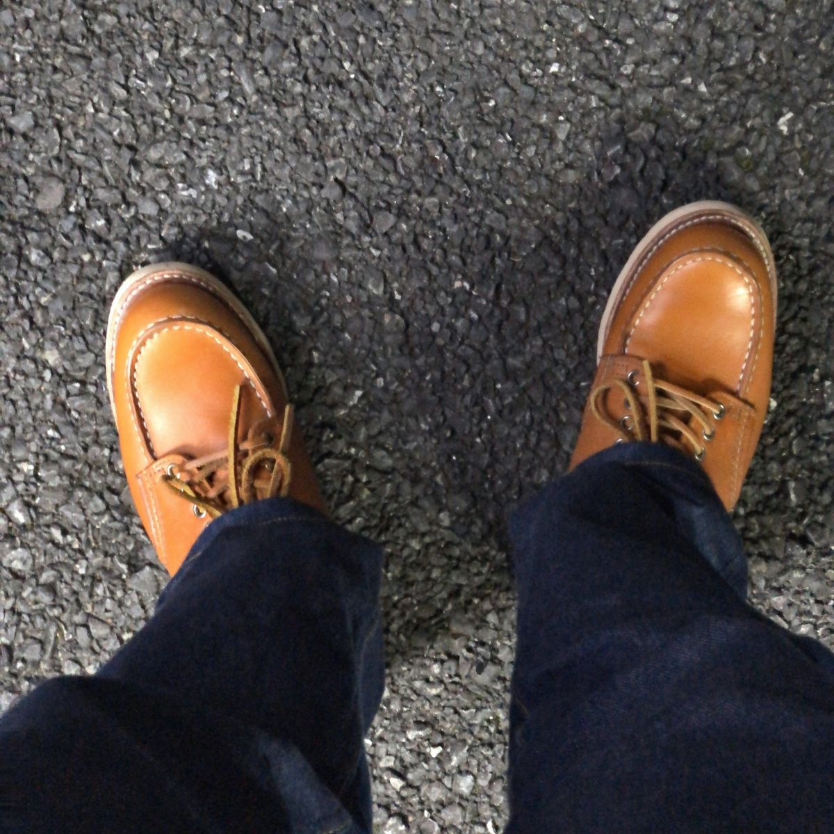 明日は終わるんだろうか