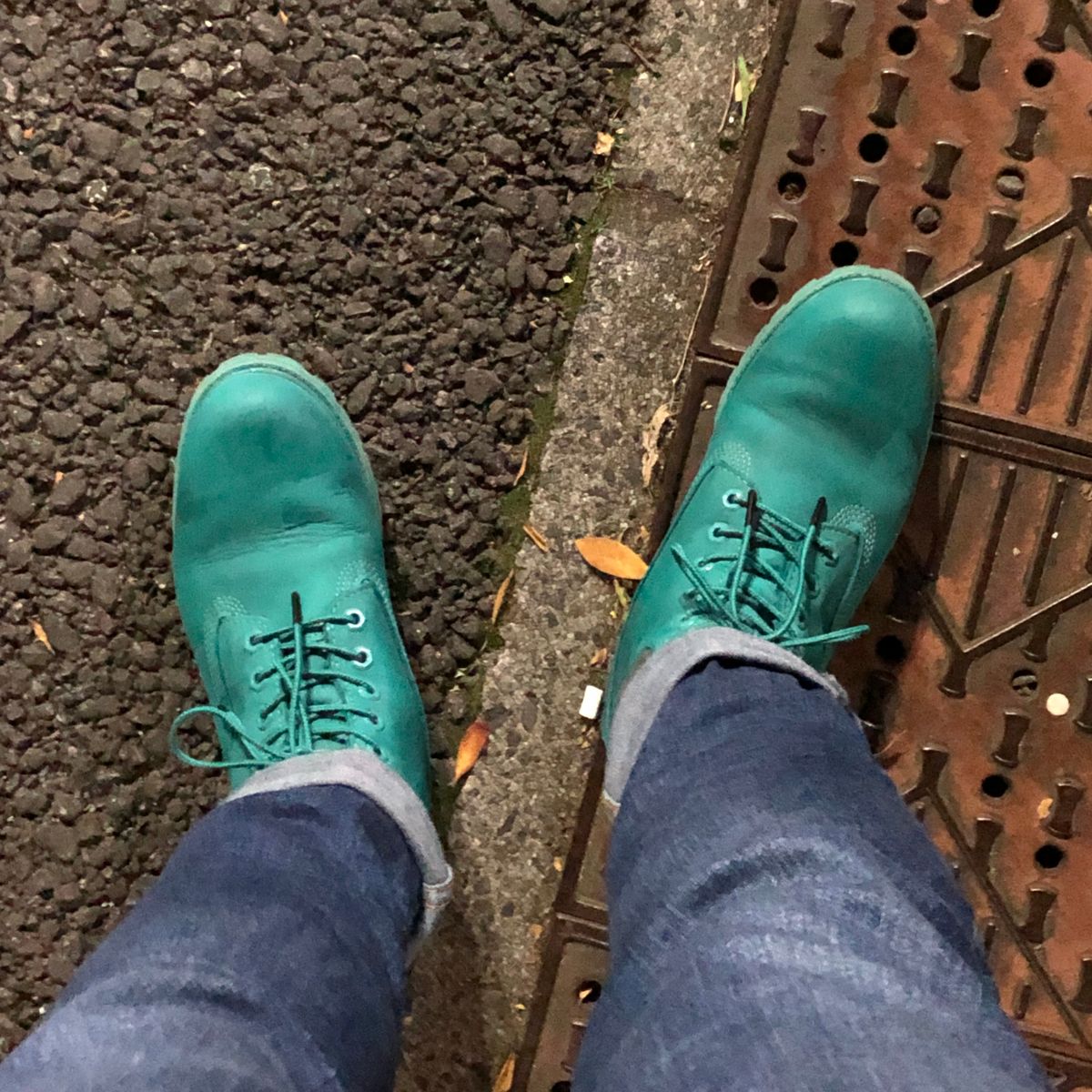 今日の夜は寒い気がする