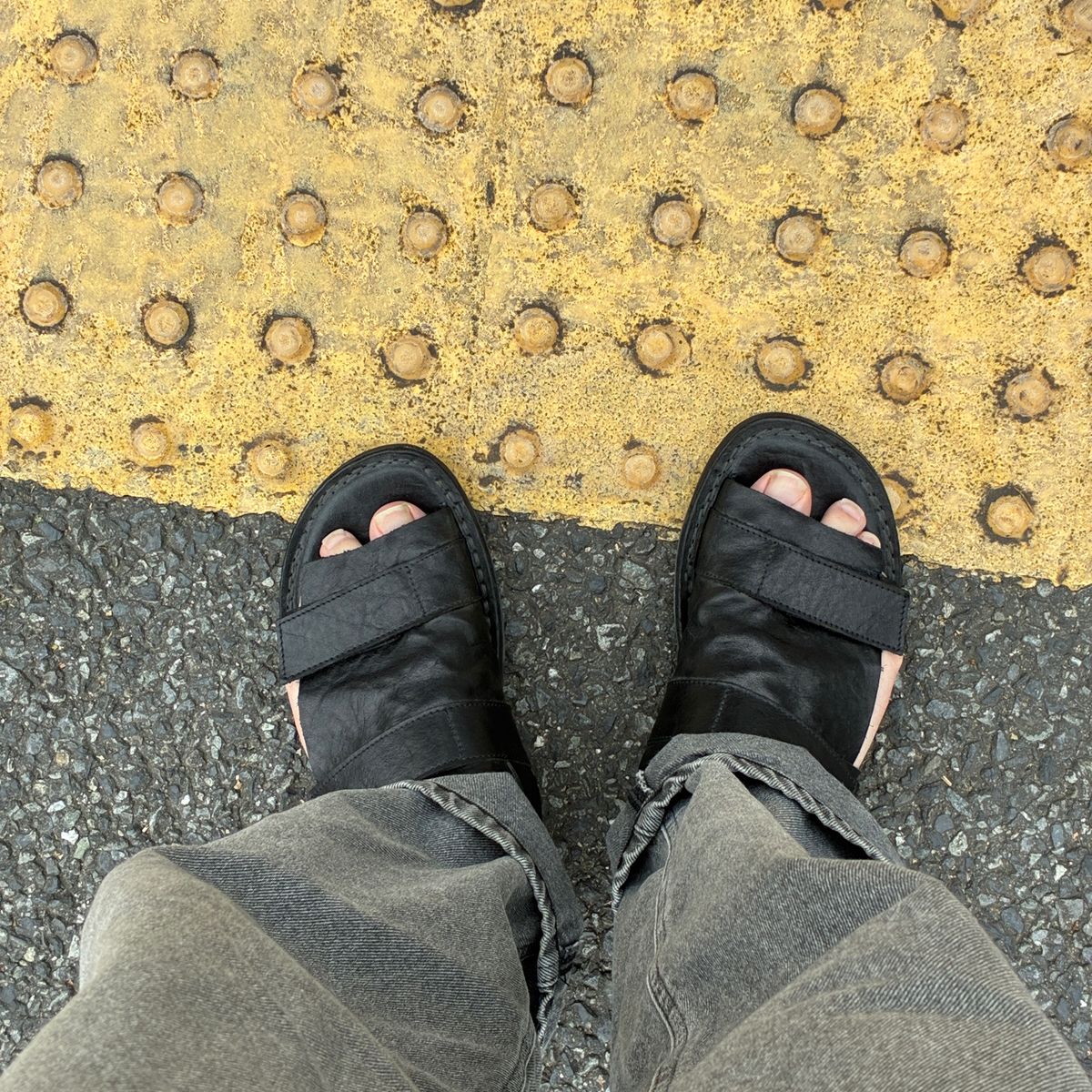 朝