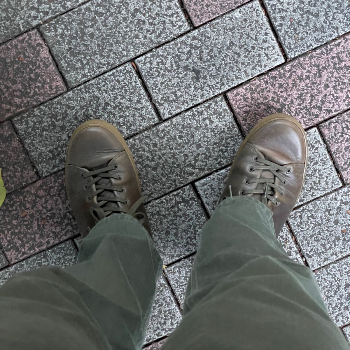 ビザがうまい