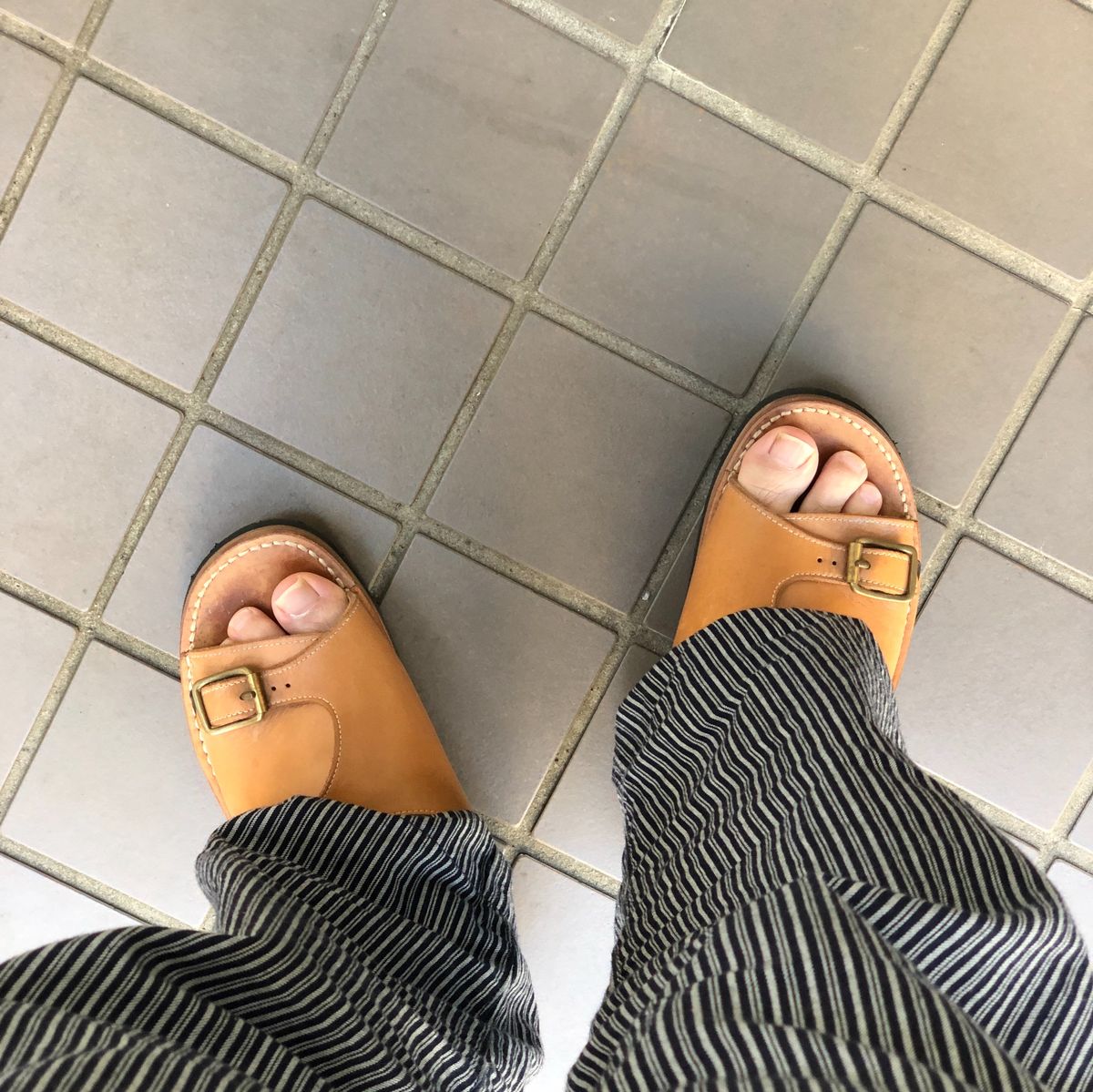 またぴねだ