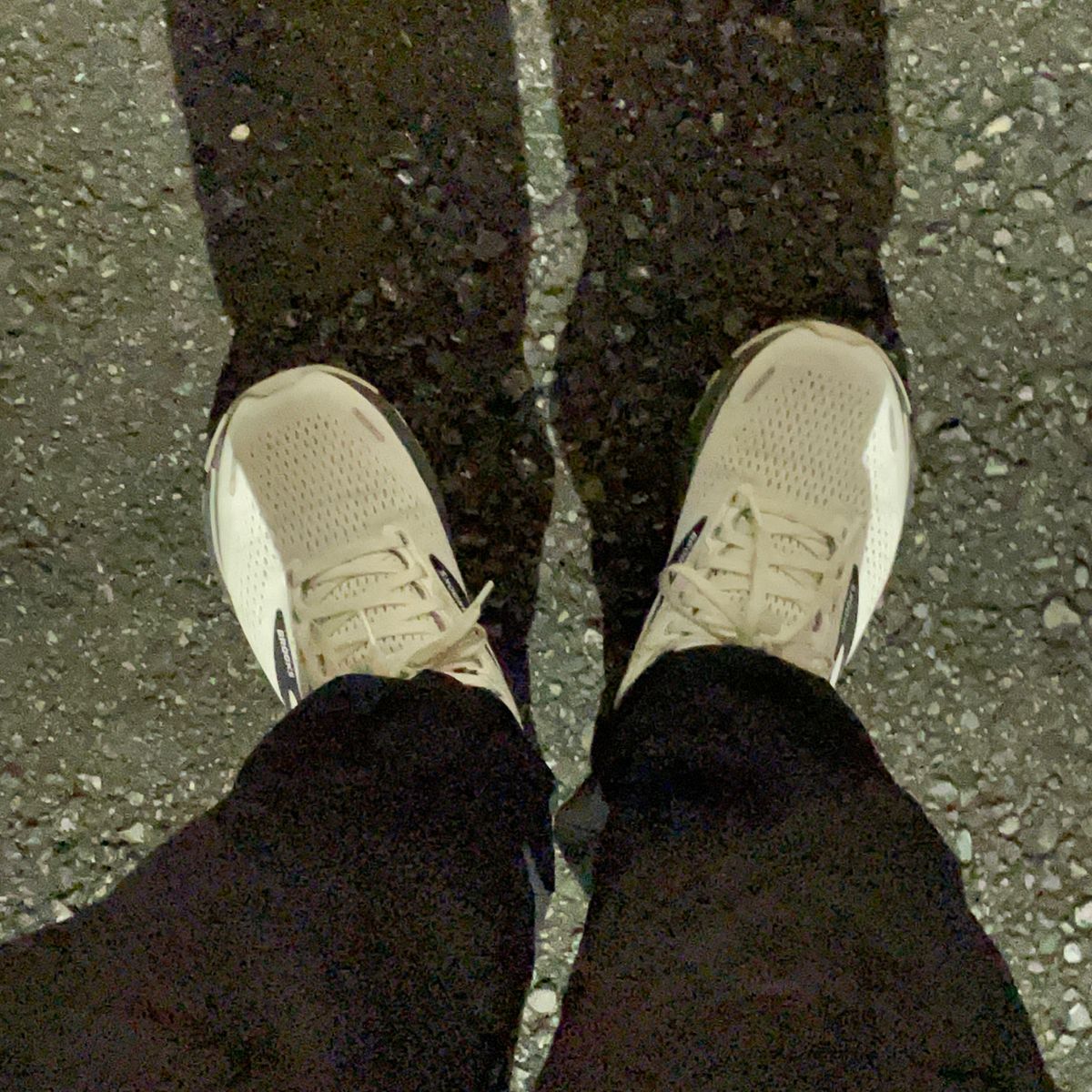 走ってきた