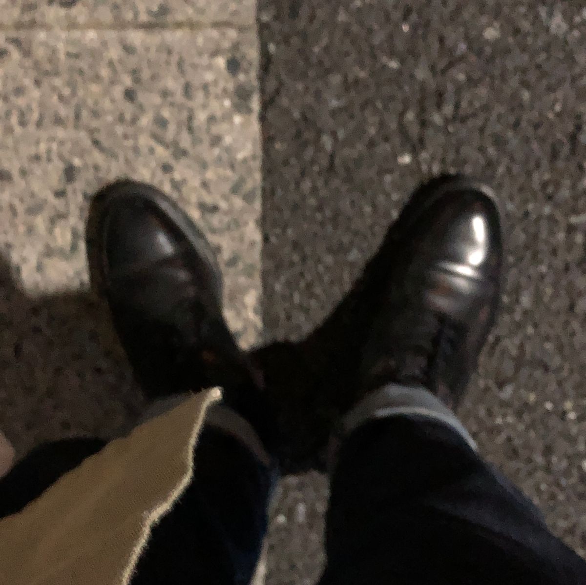 夜行性の夢はやっぱいいな
