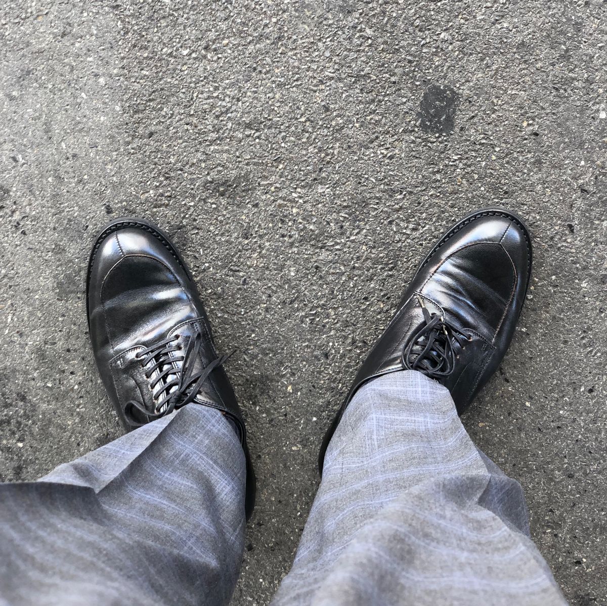 眼鏡見てきた