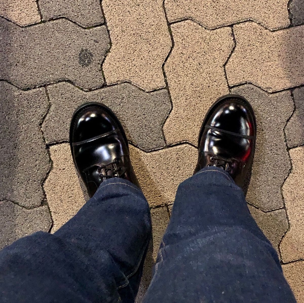 本屋行って来た