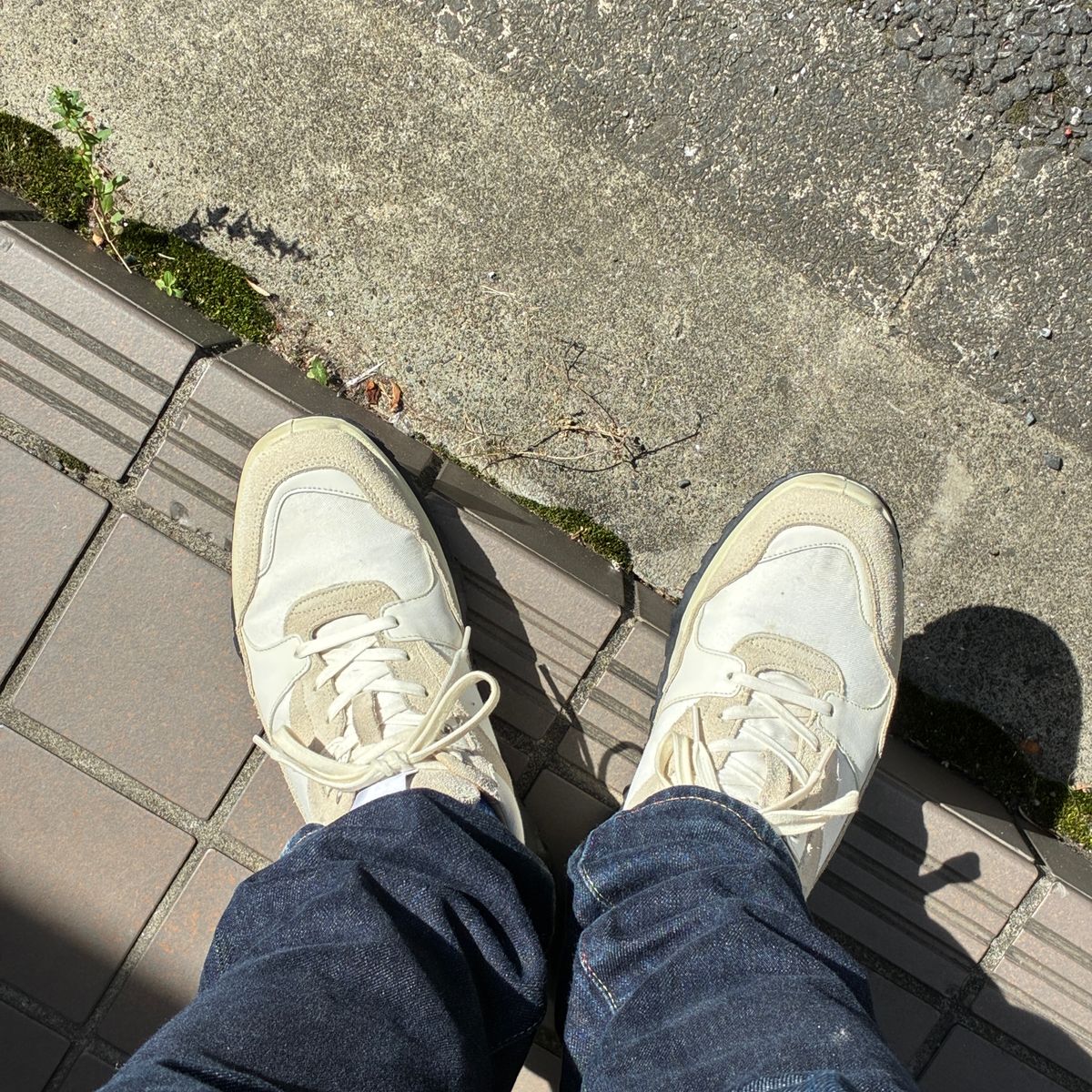 お酒飲む