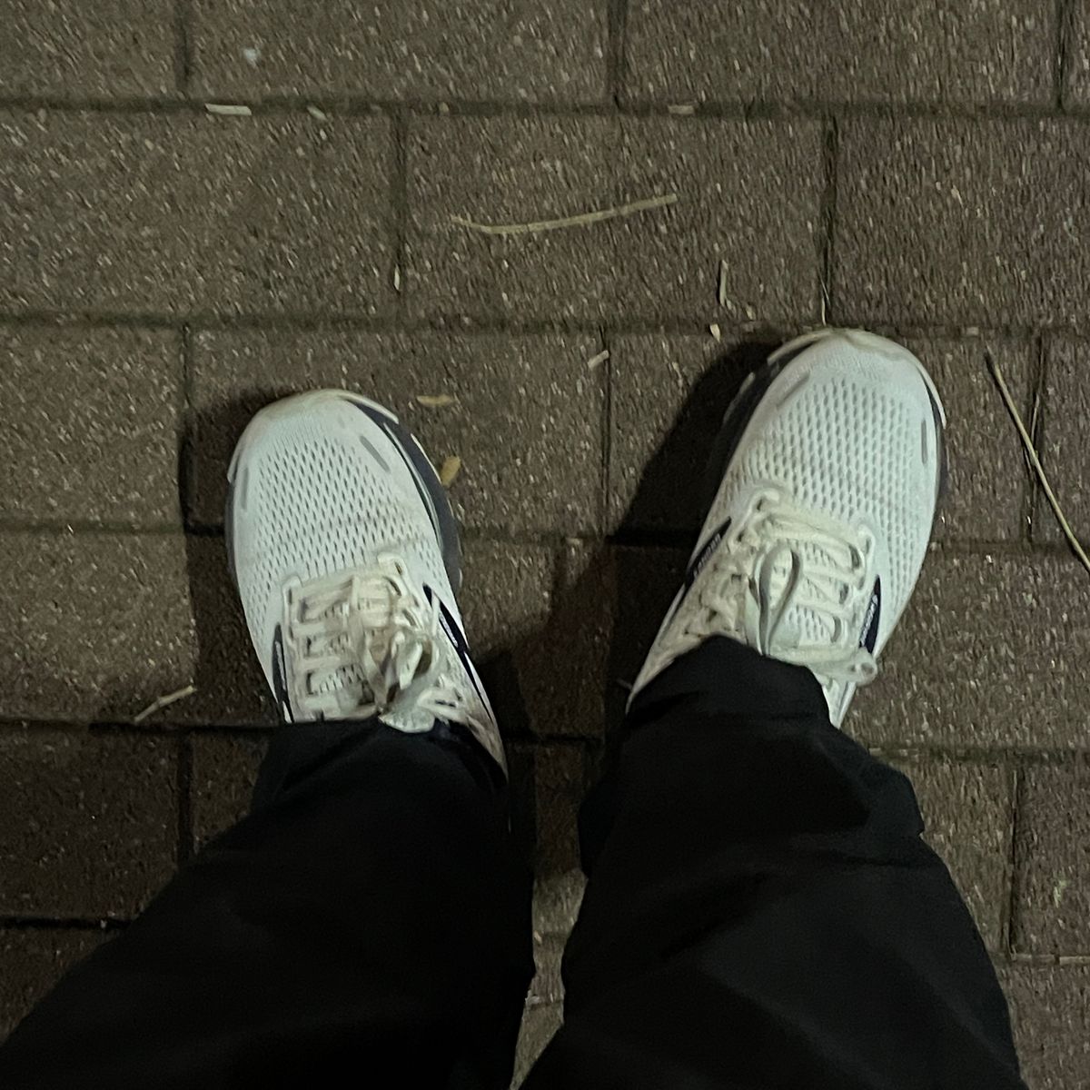 走った