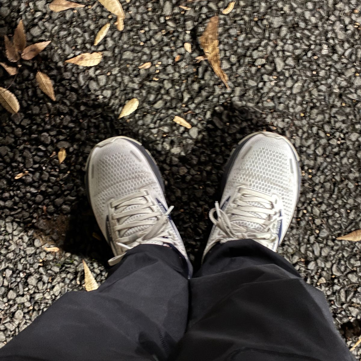 3km走ったり歩いたり