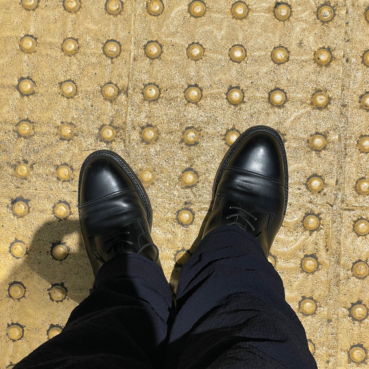 流石に食べすぎた