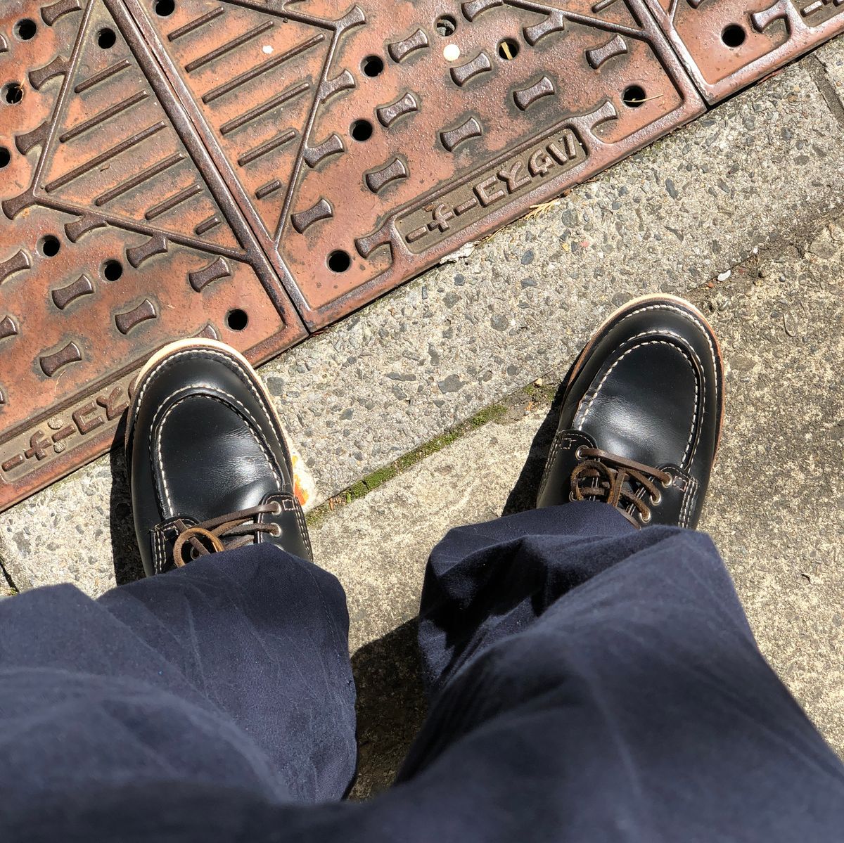 今日は晴れてる