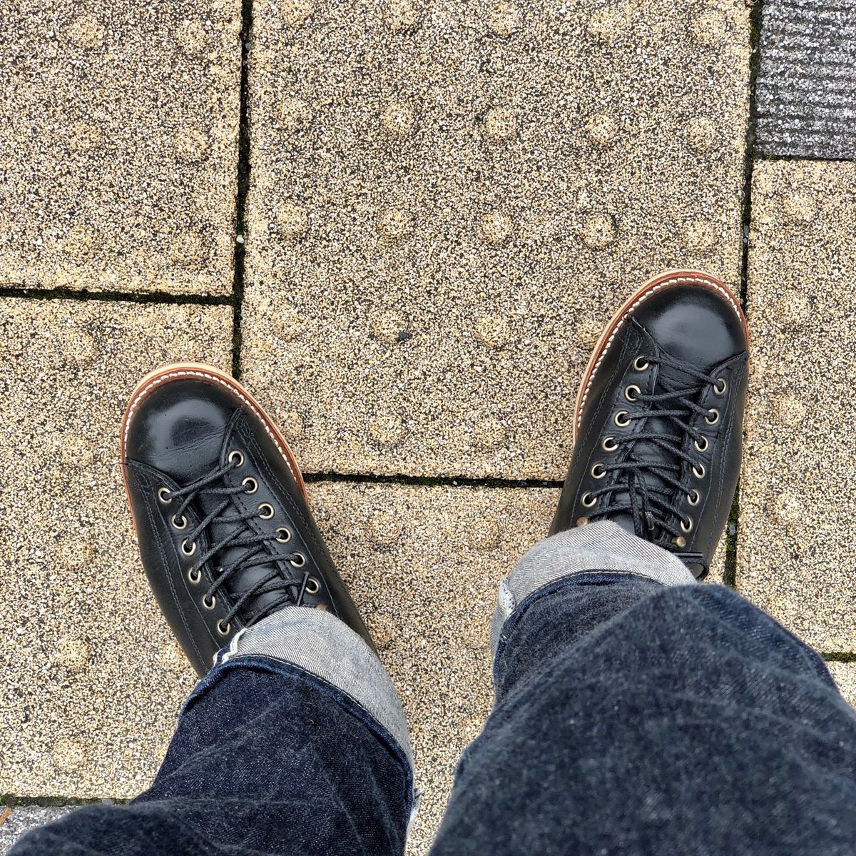 サーモン食べたい