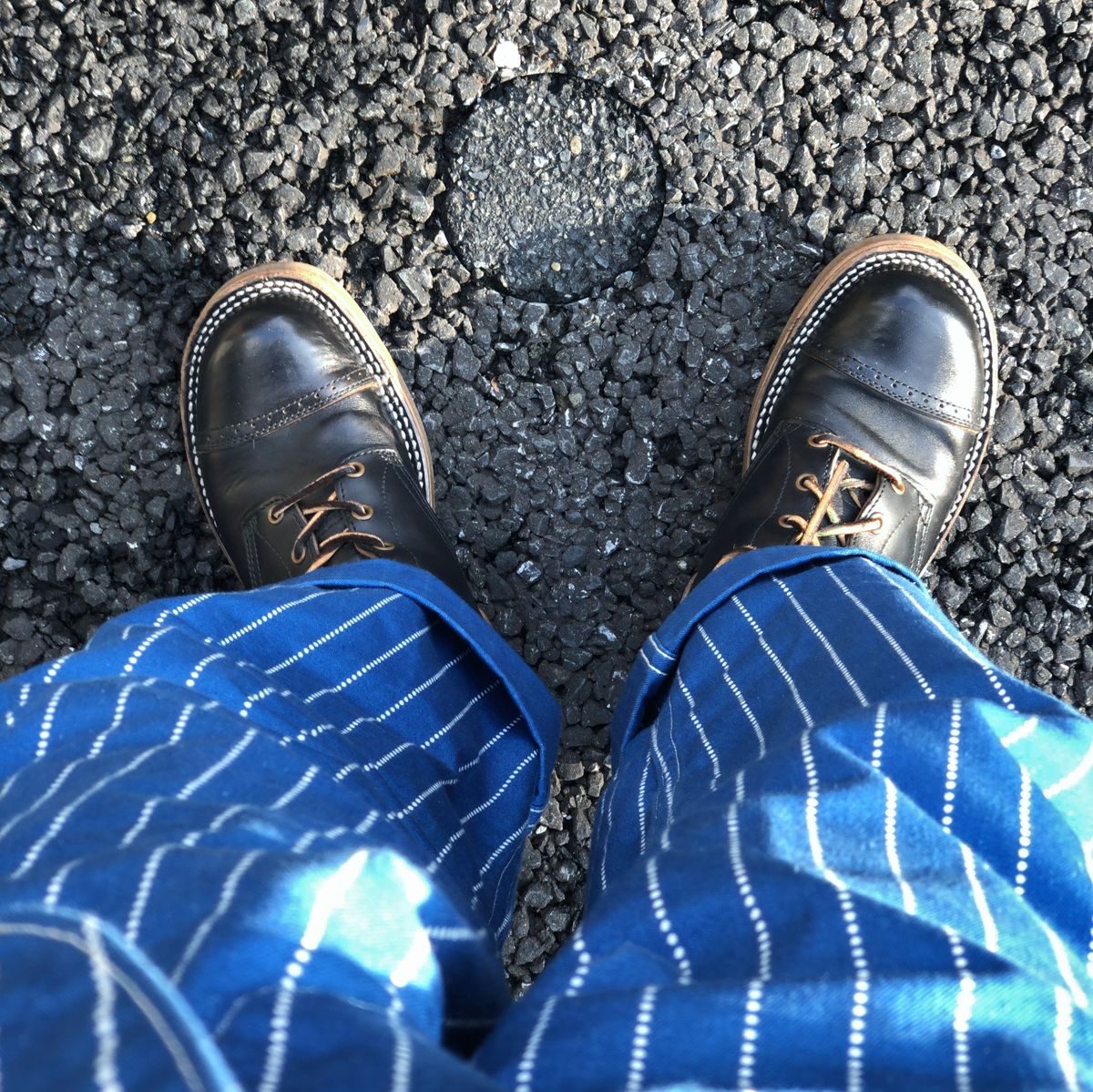今日は全身が青