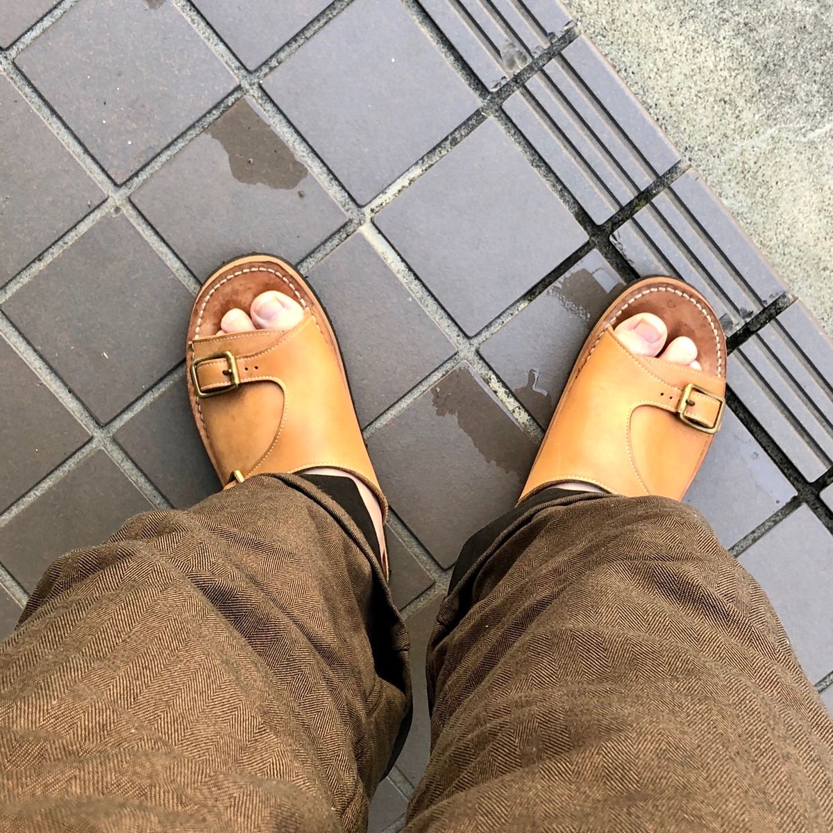 晴れた