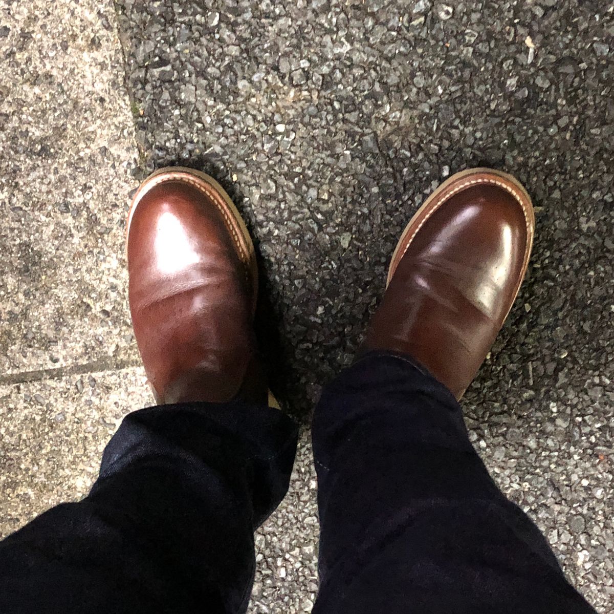雨降ってきた