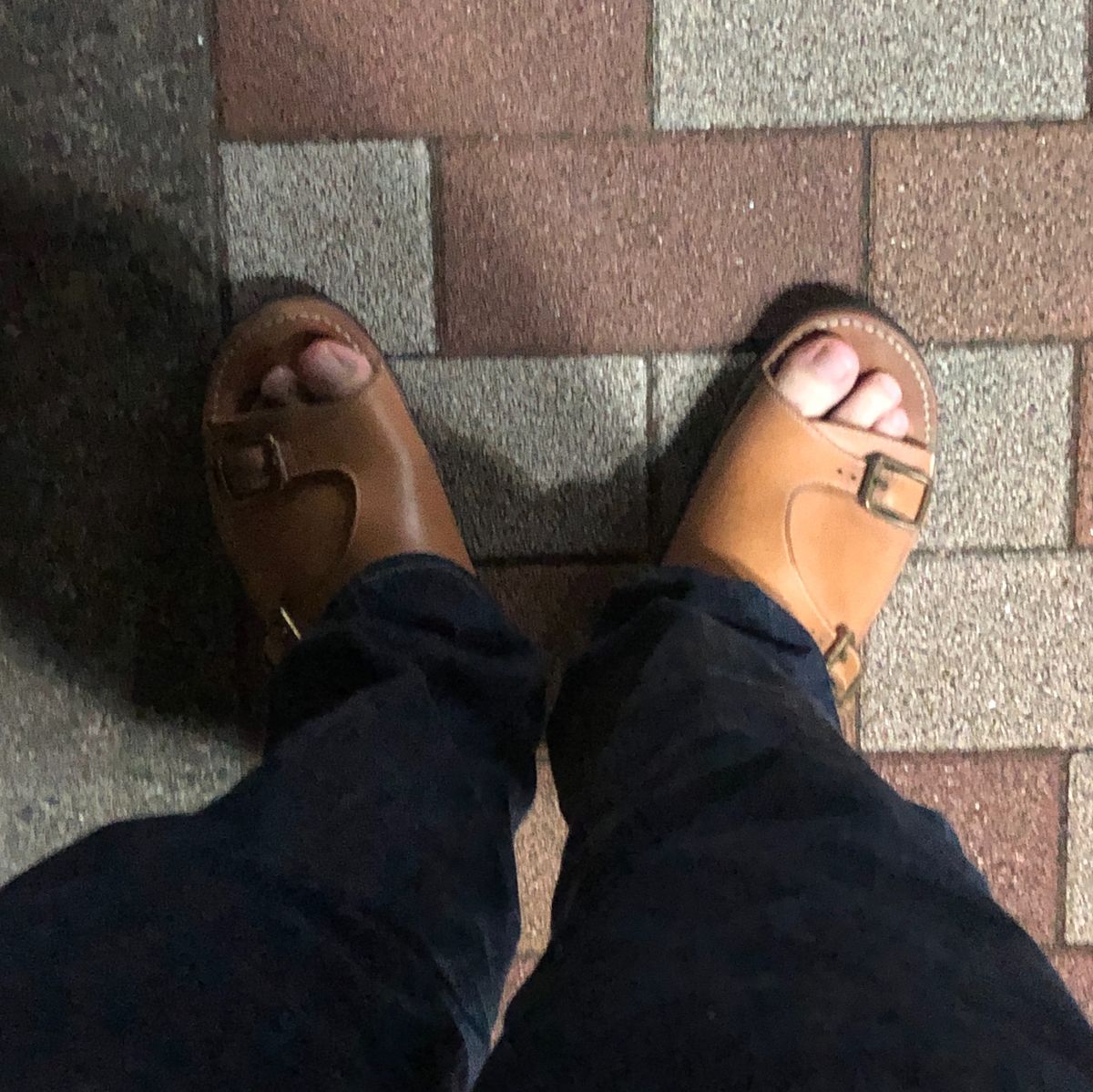 ゴミ出した