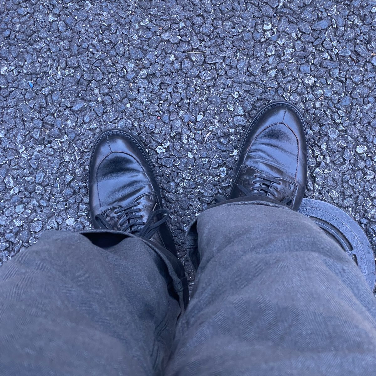 久しぶりだけどおもろ