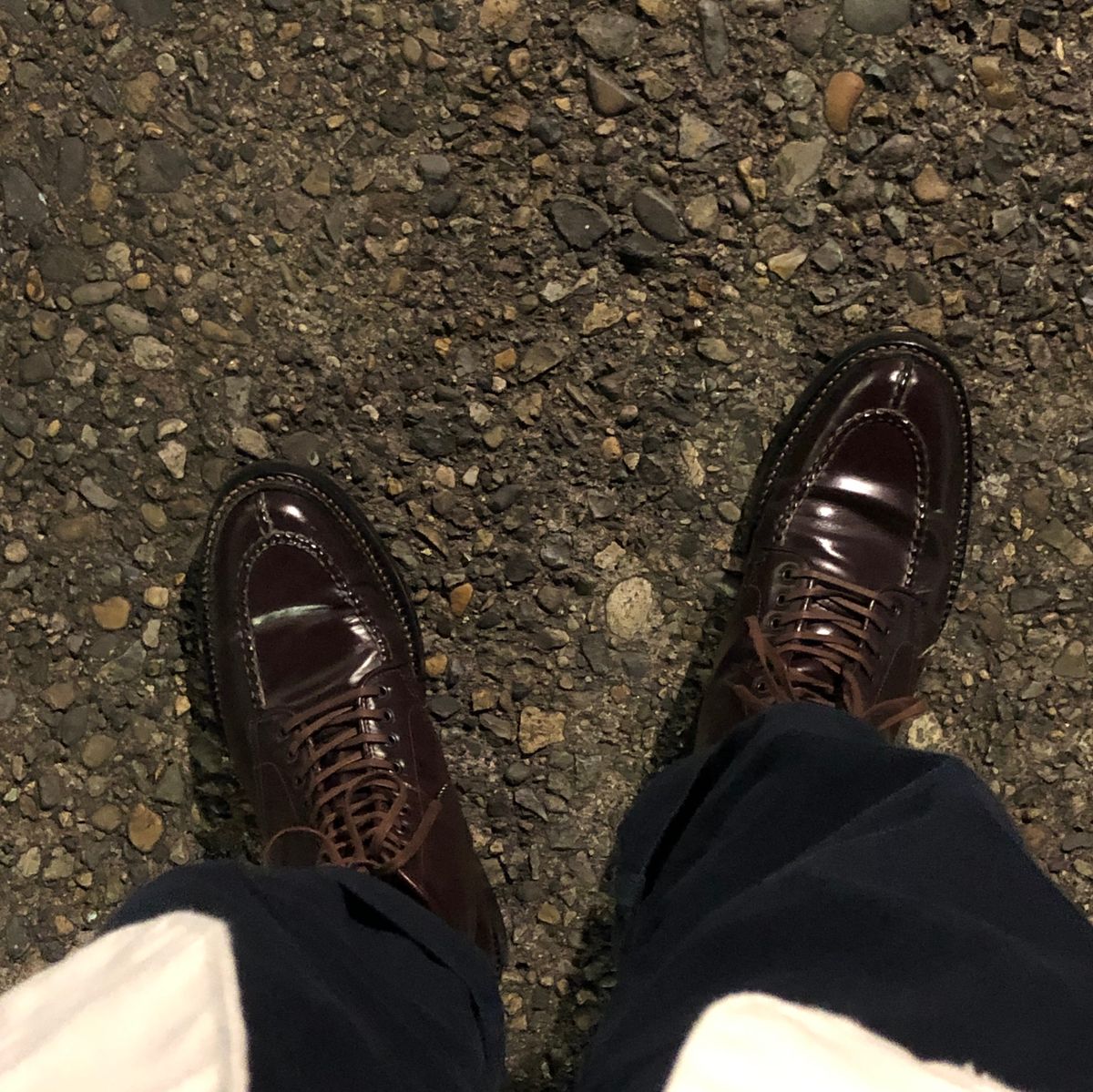 はー本読もう