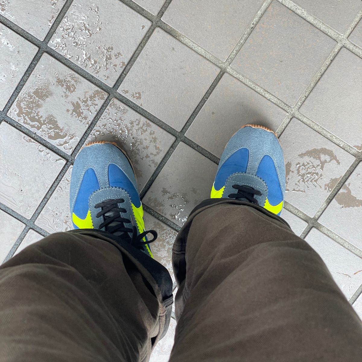 朝