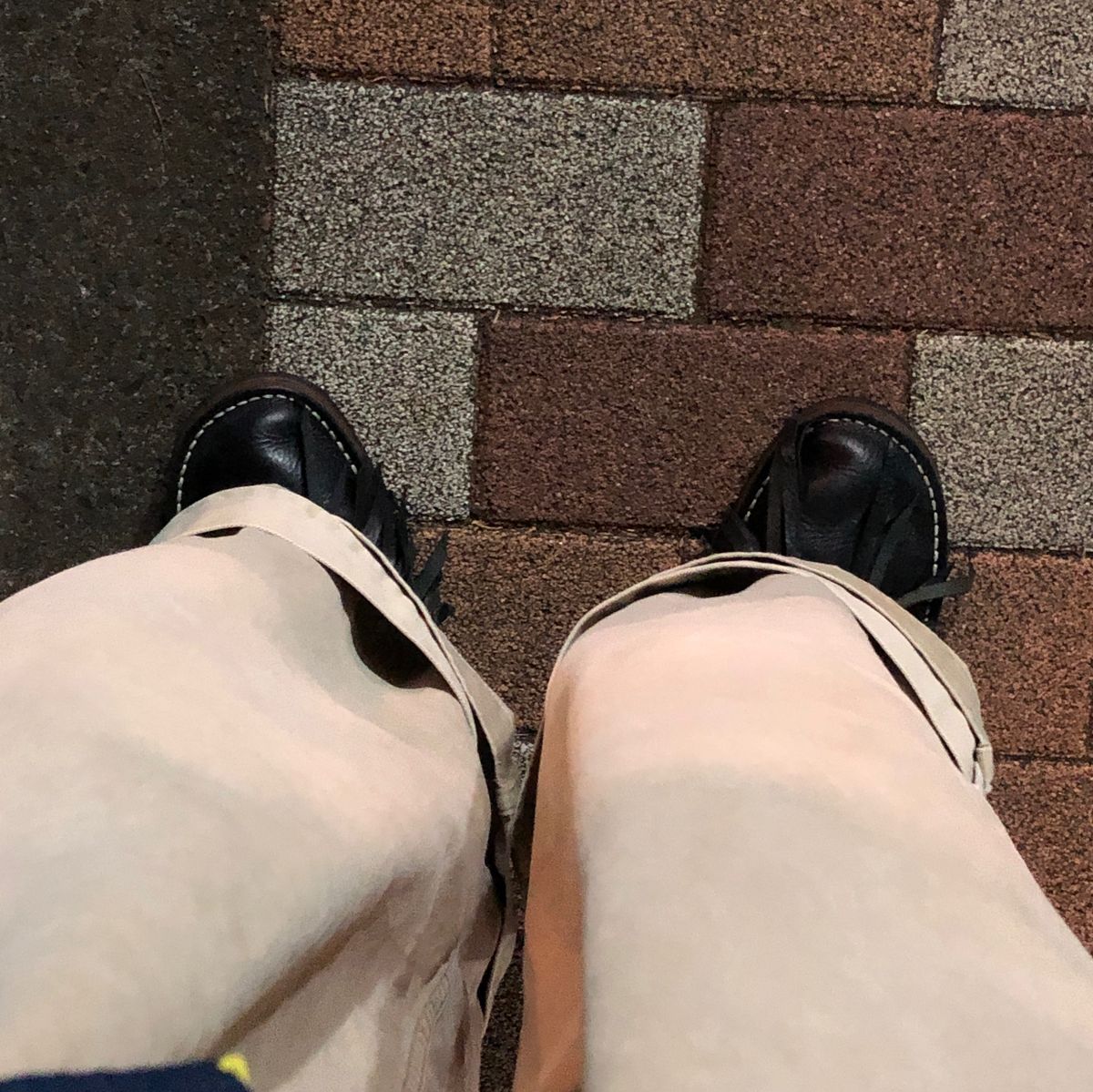 ゴミ出し完