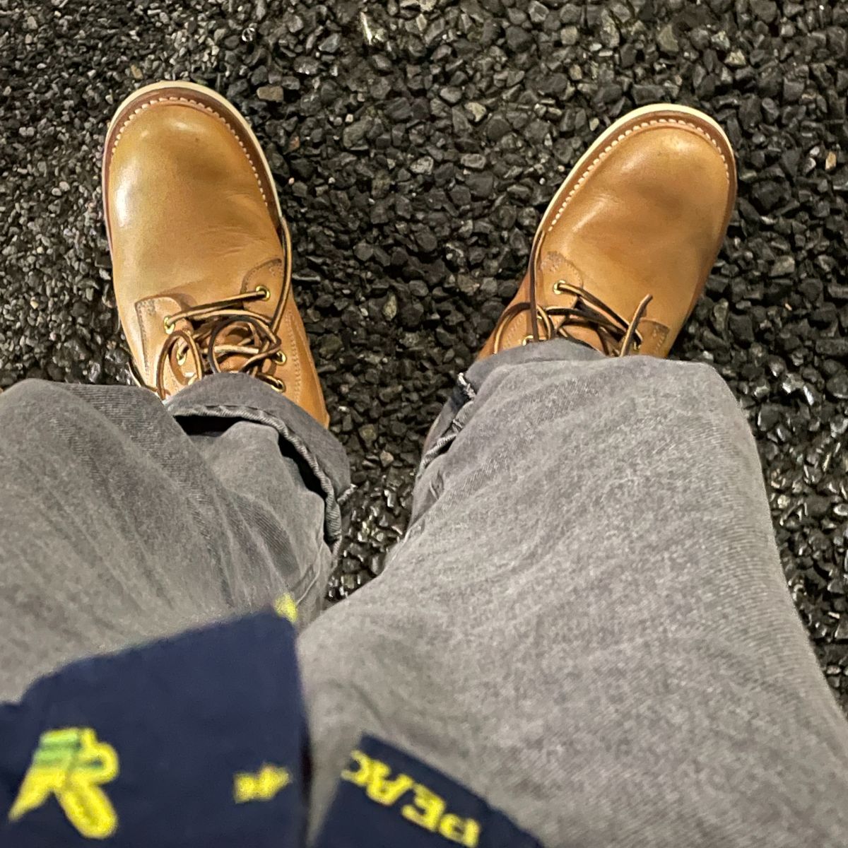 カレー食べたい