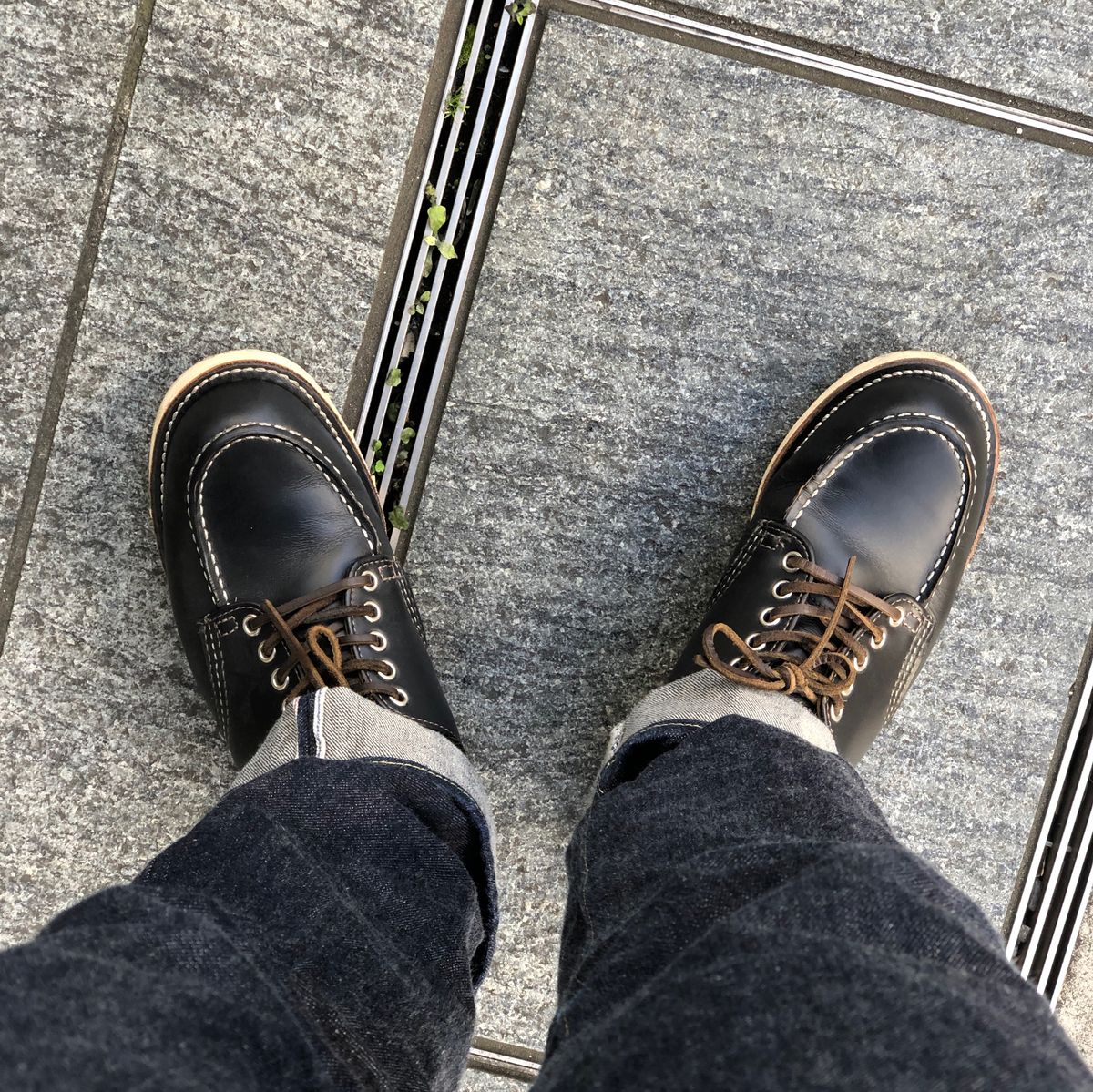 今日は海老にしてみた