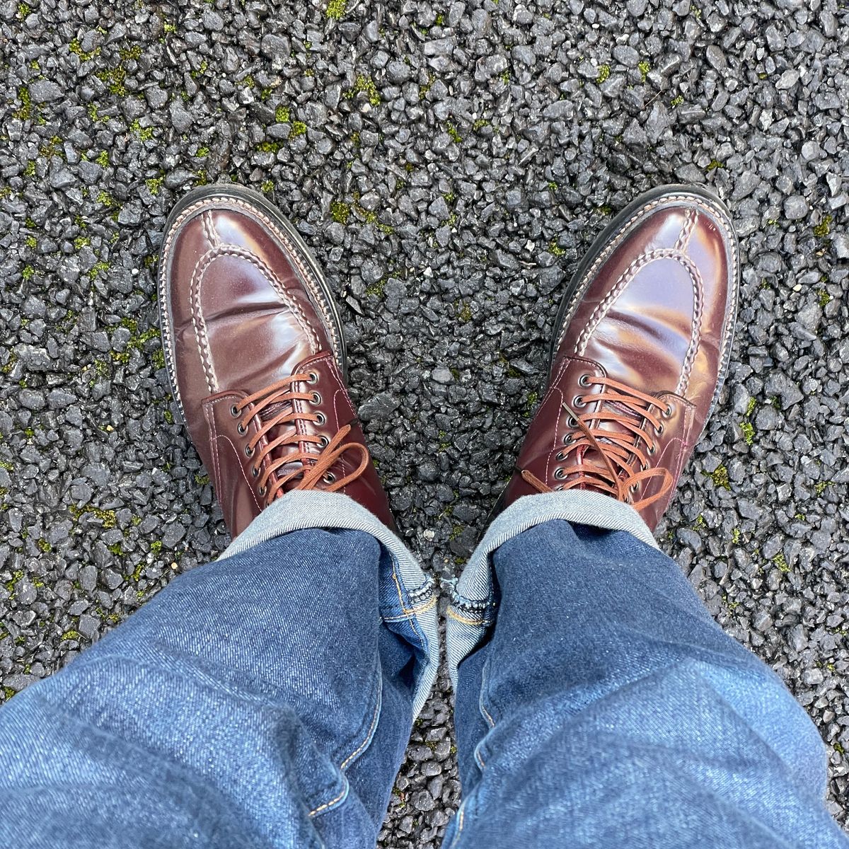 ようやくめどがたった