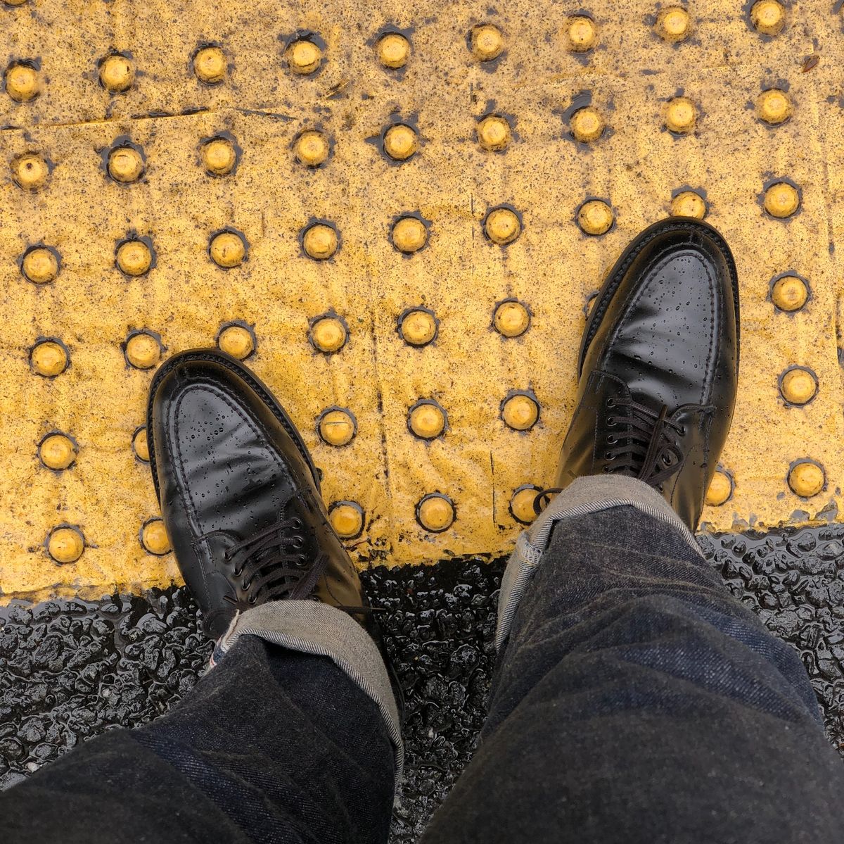 バブアー着て来た