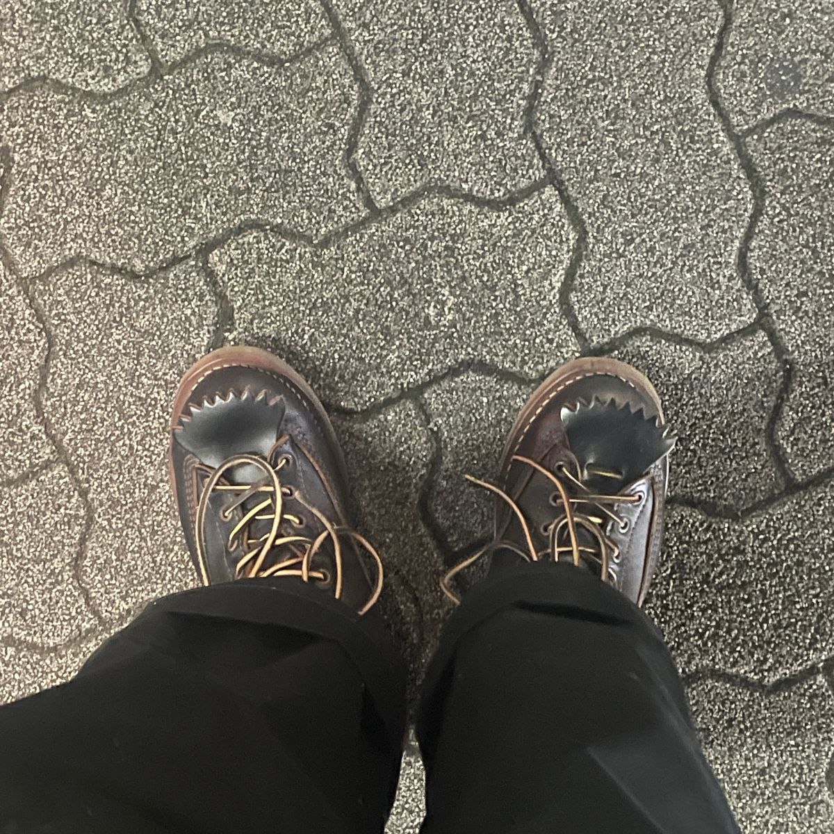 歩いた
