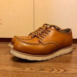 Redwing Irish Setter