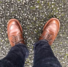 荷物整理用のものを買って来た