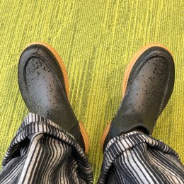 午前中だけ雨
