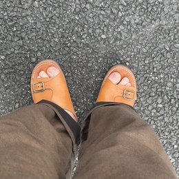 朝