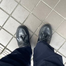 朝